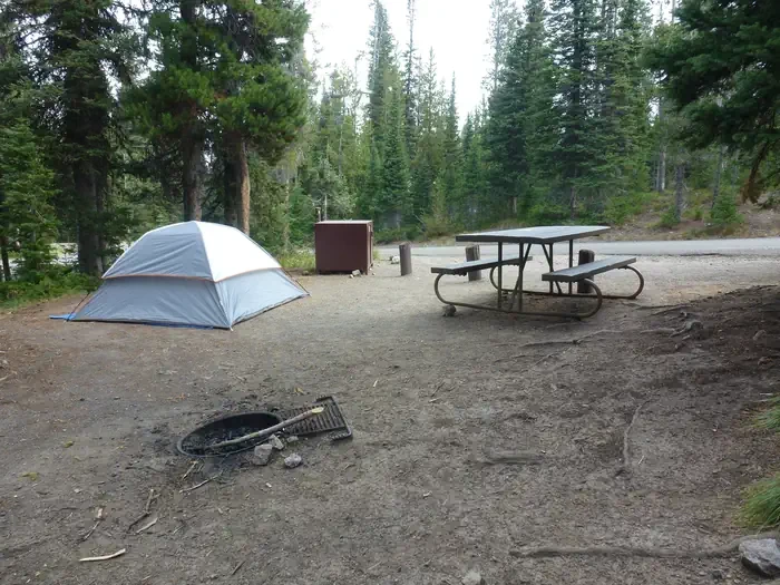 Lewis Lake site #46