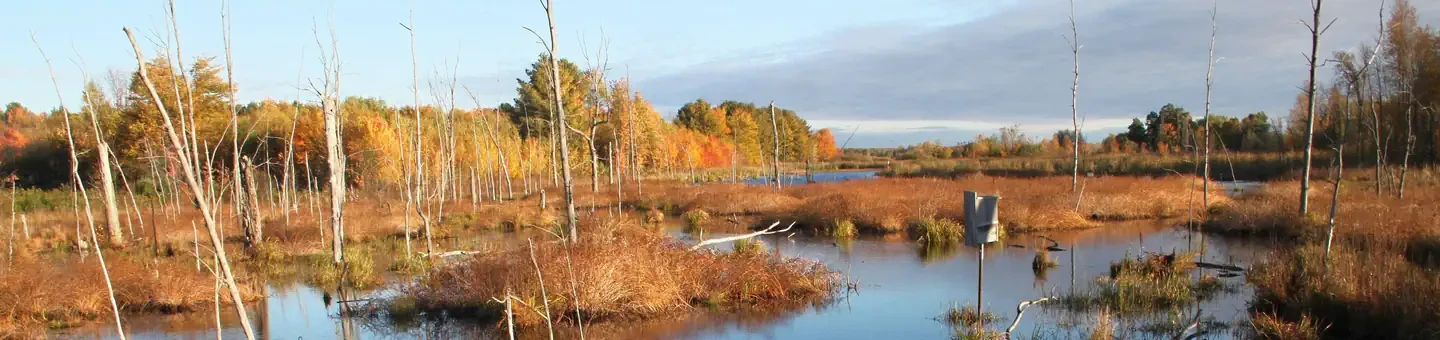 Missisquoi National Wildlife Refuge