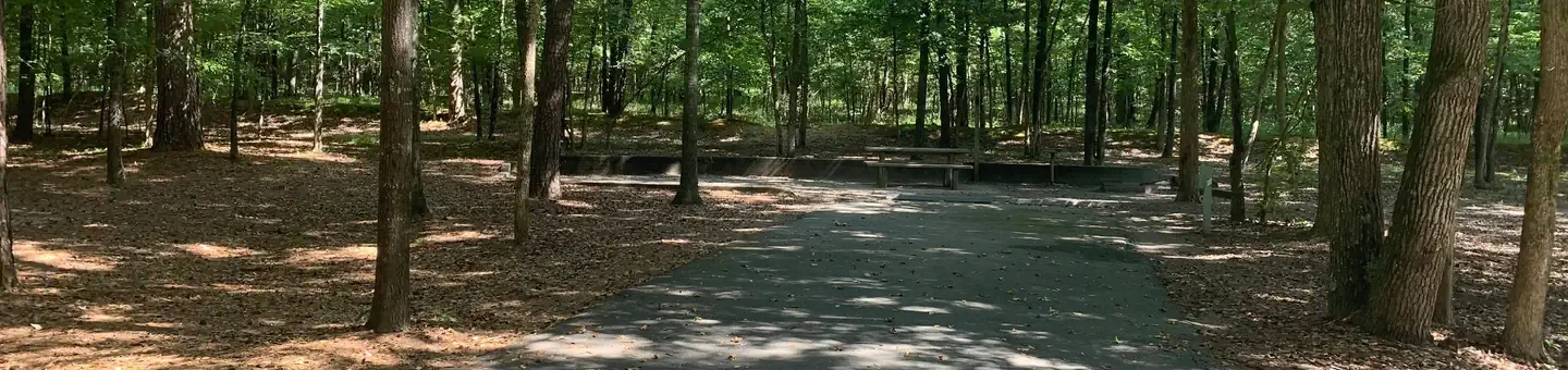 D22