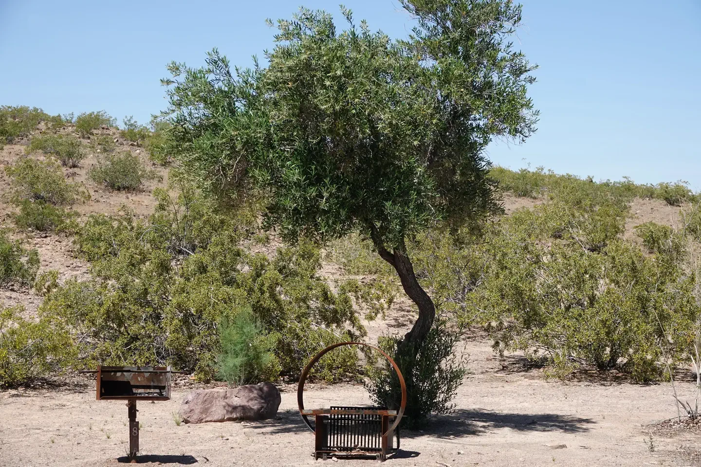 Site 85