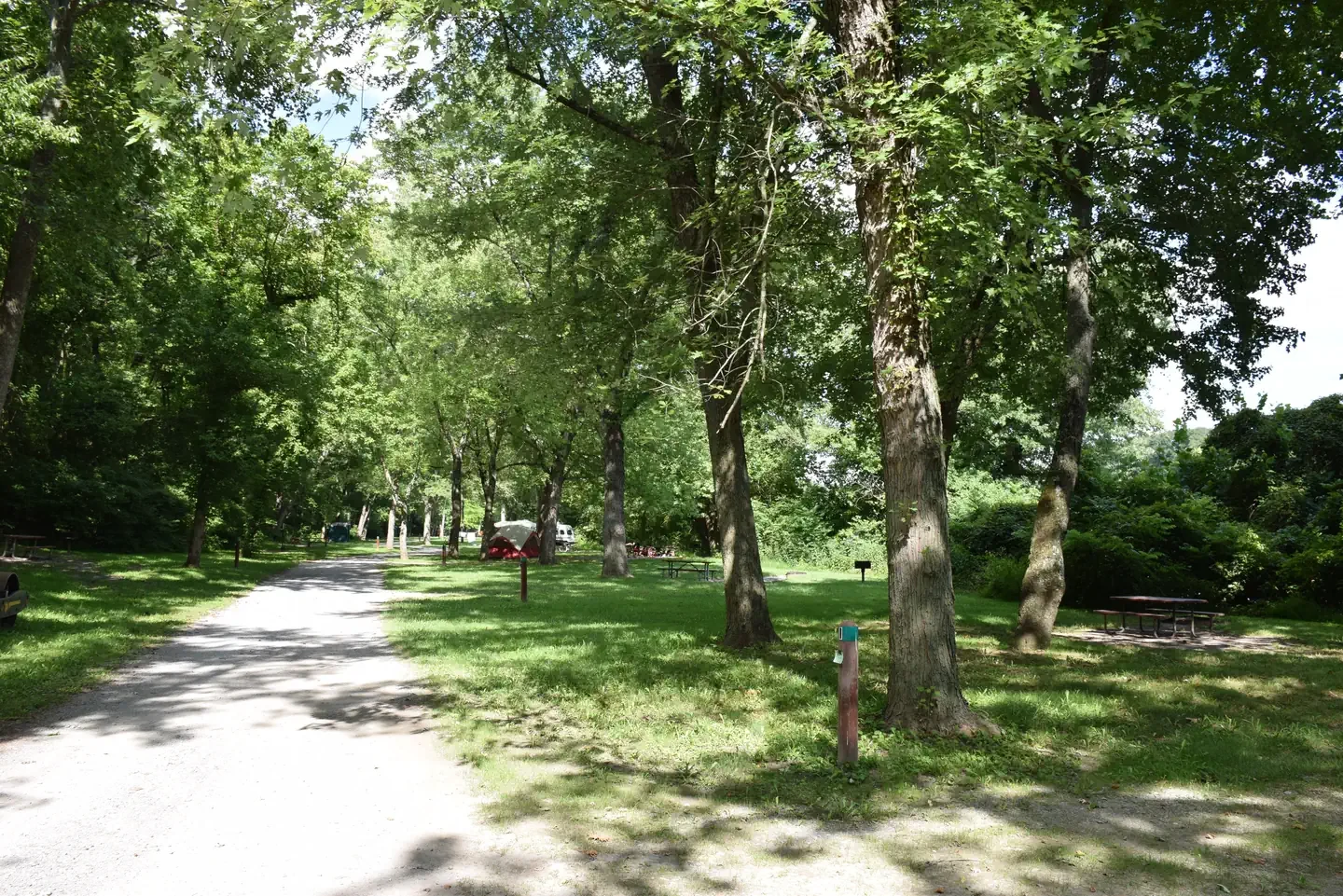 McCoy's Ferry Campground