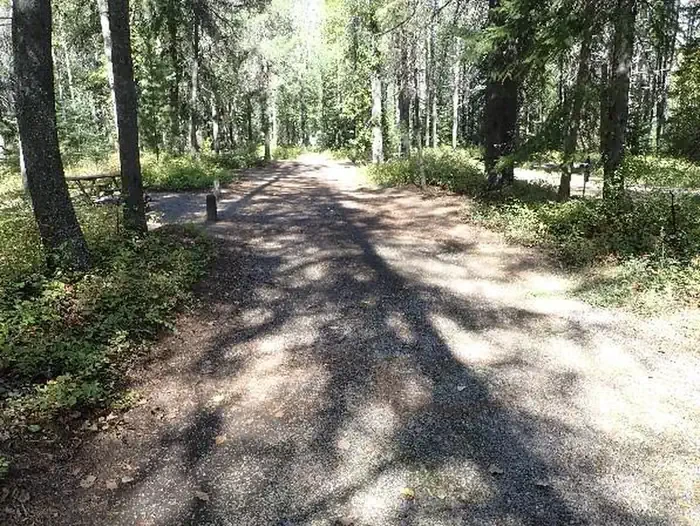 C137