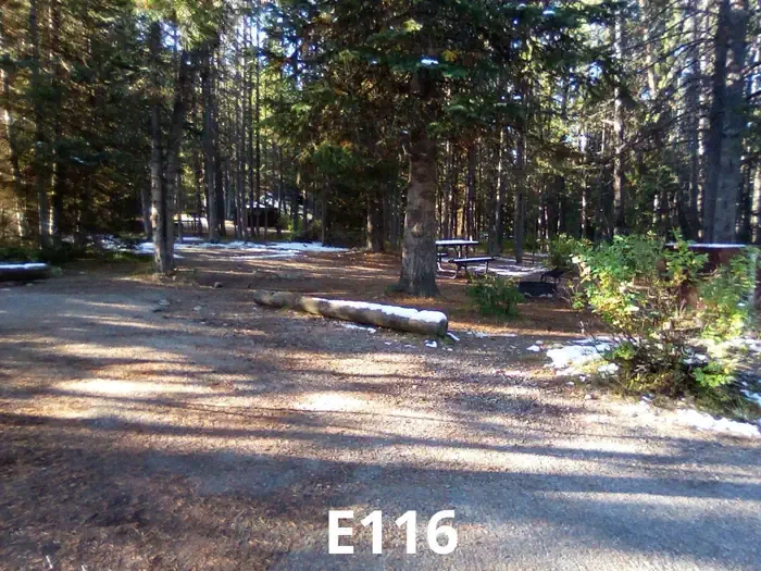 116