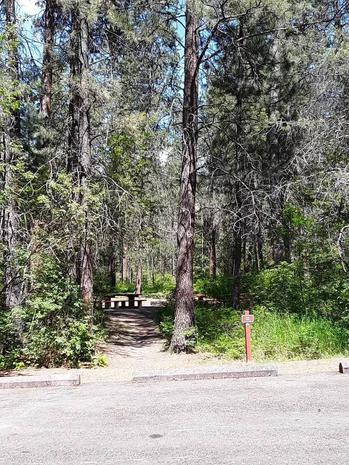 Sloway Campground (MT)