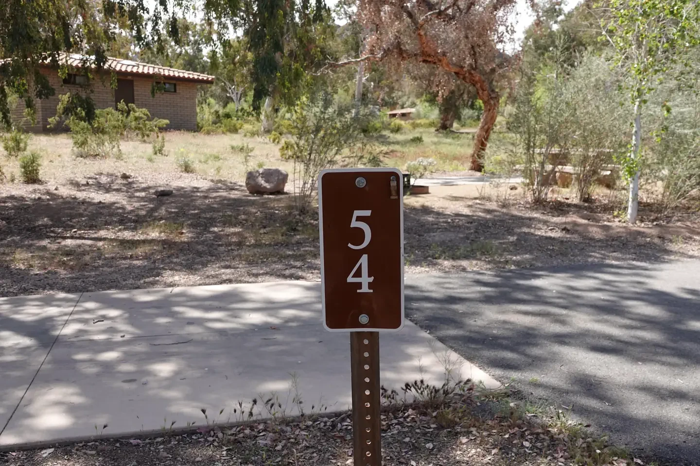 Site 54