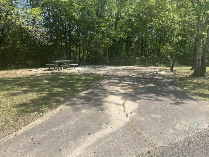 Site 4