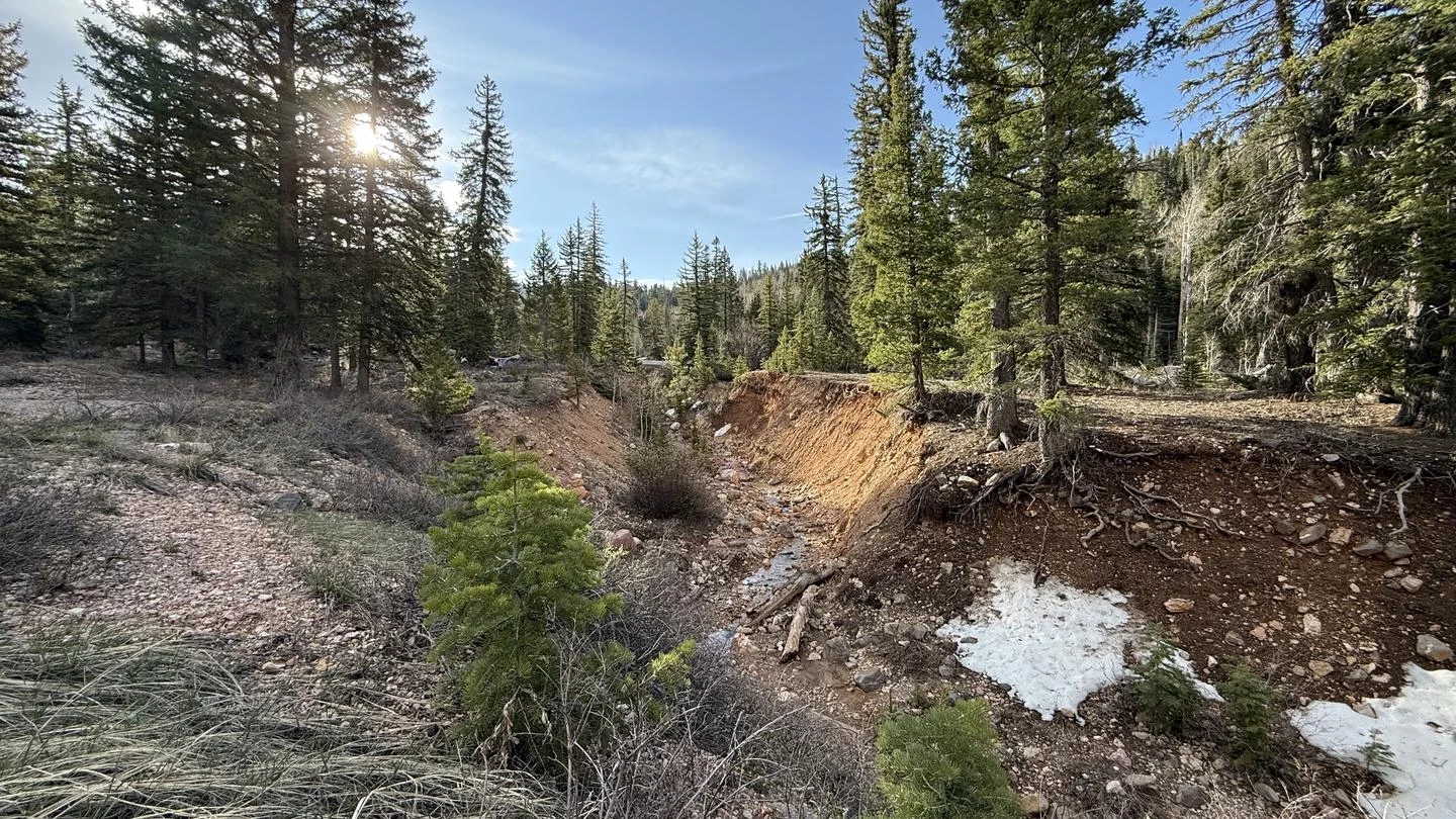 Cedar Canyon