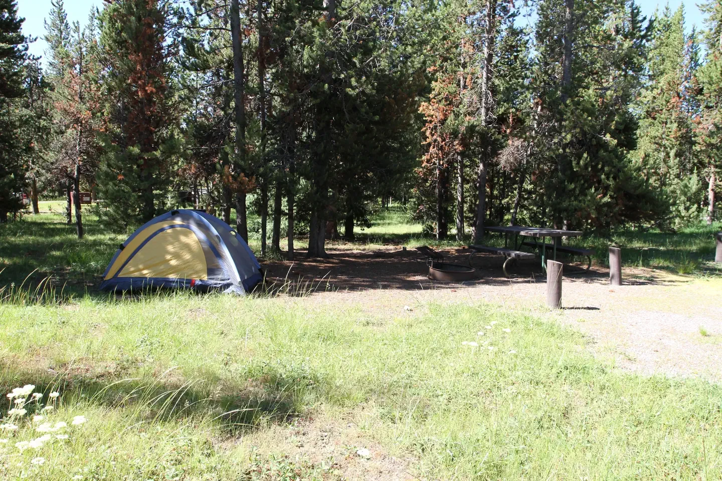 Indian Creek site #11