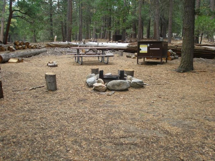 Site: 53