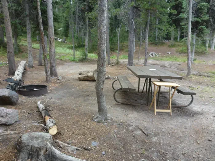 Lewis Lake site #17
