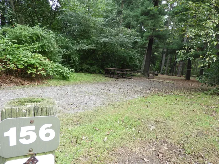 156