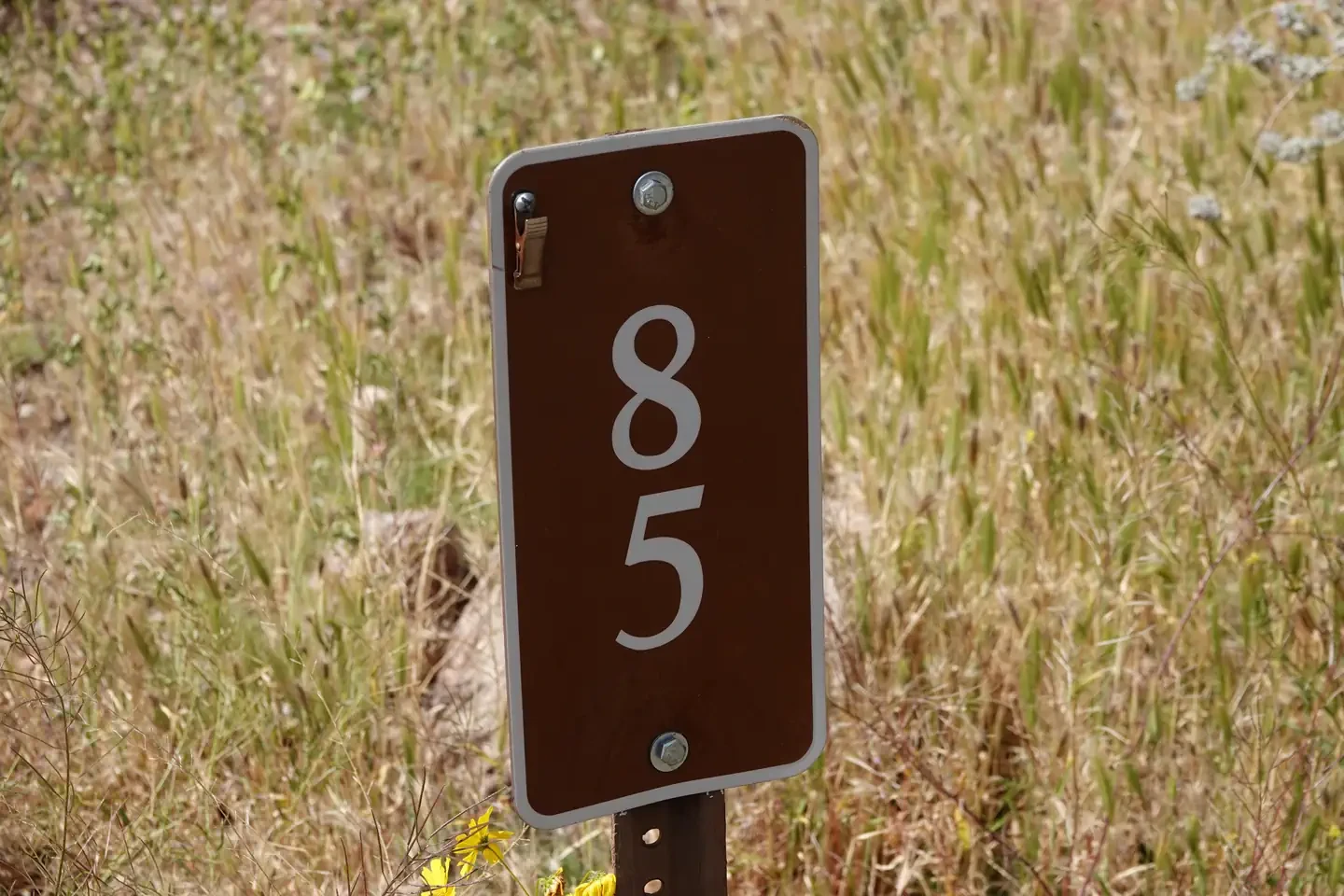 Site 85