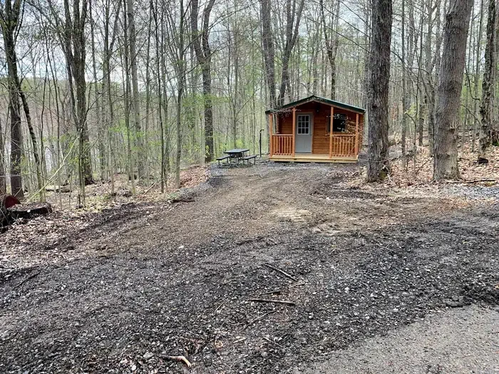 Cabin 3