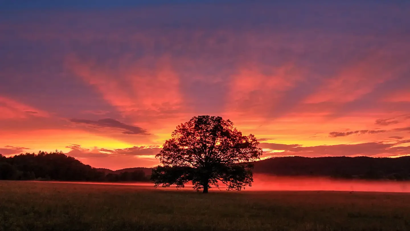 Cades Cove Campground