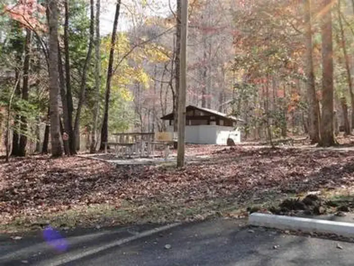 Collins Creek Picnic Pavilion