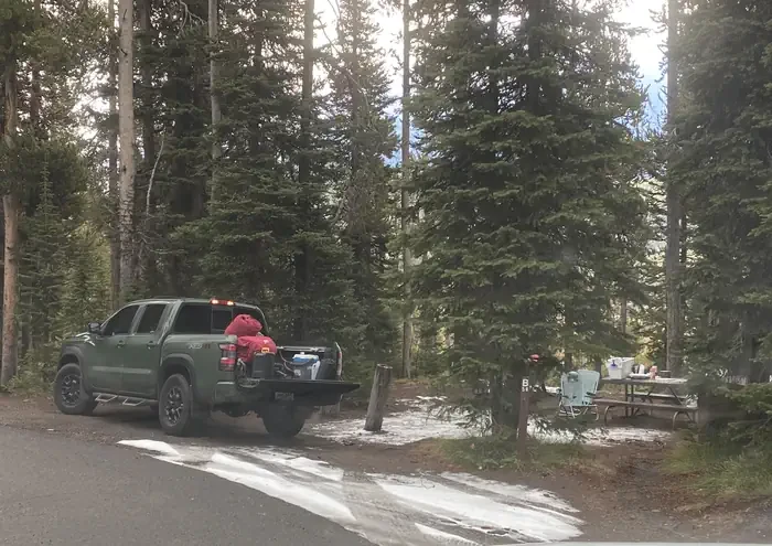 Lewis Lake site #50