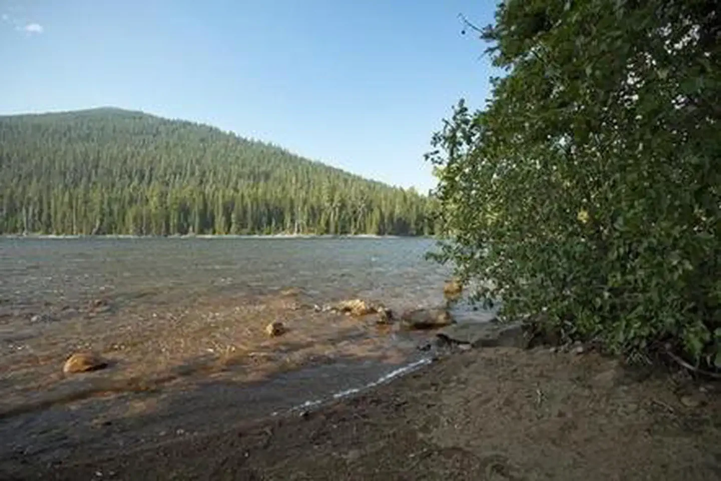 Little Cultus Campground