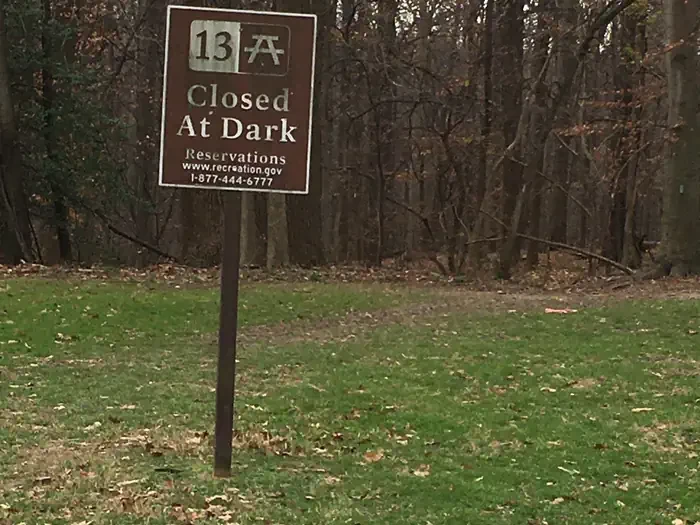 Picnic Grove 13 - 9:30AM to 1:30PM