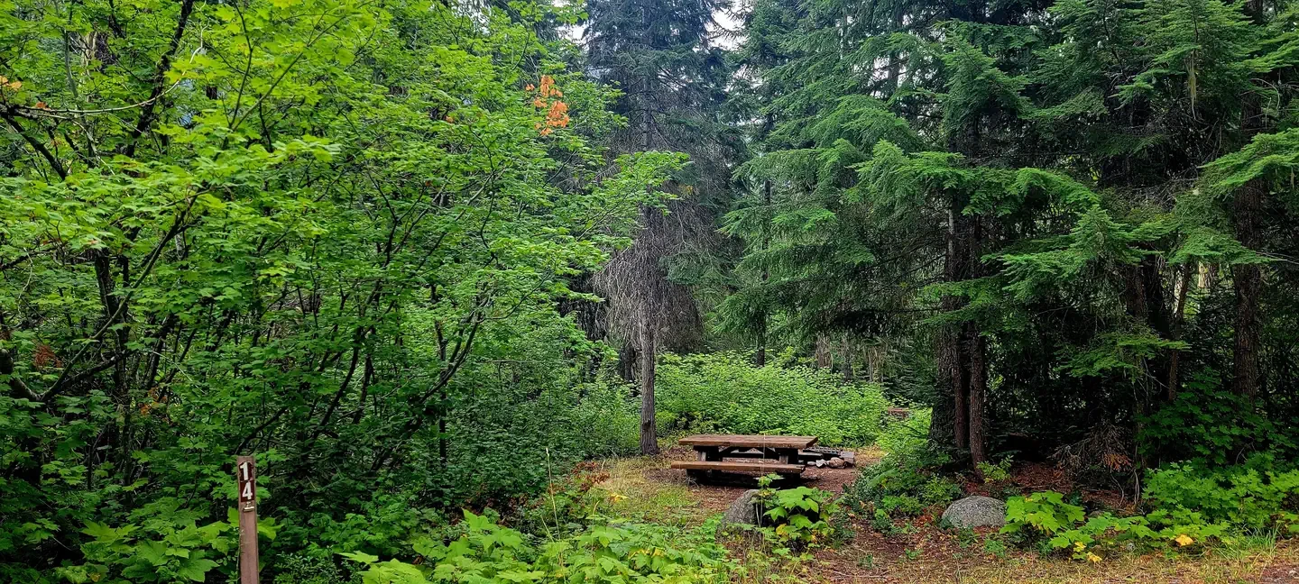 Blackpine CR Horsecamp