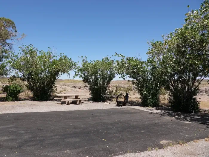 Site 44