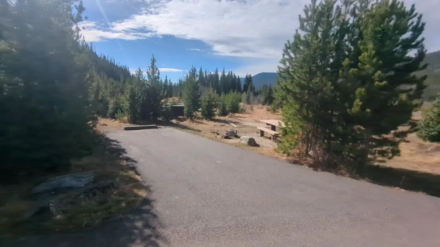 D097