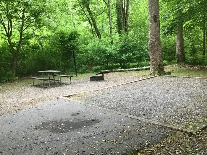 146