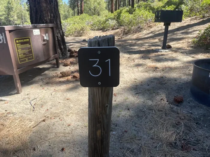 31