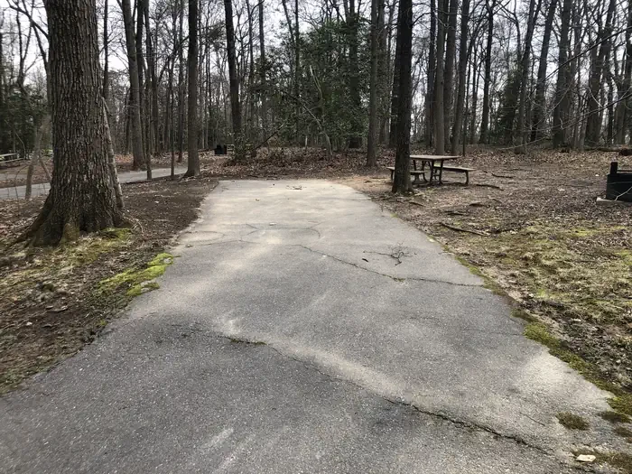 D120