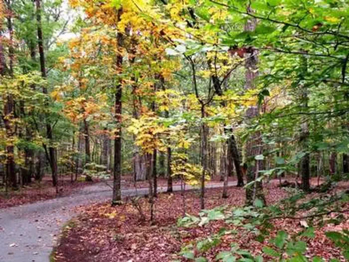 Oak Ridge Campground