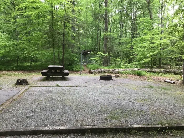 080