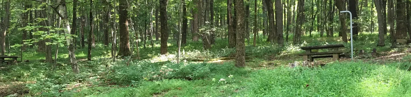 A37