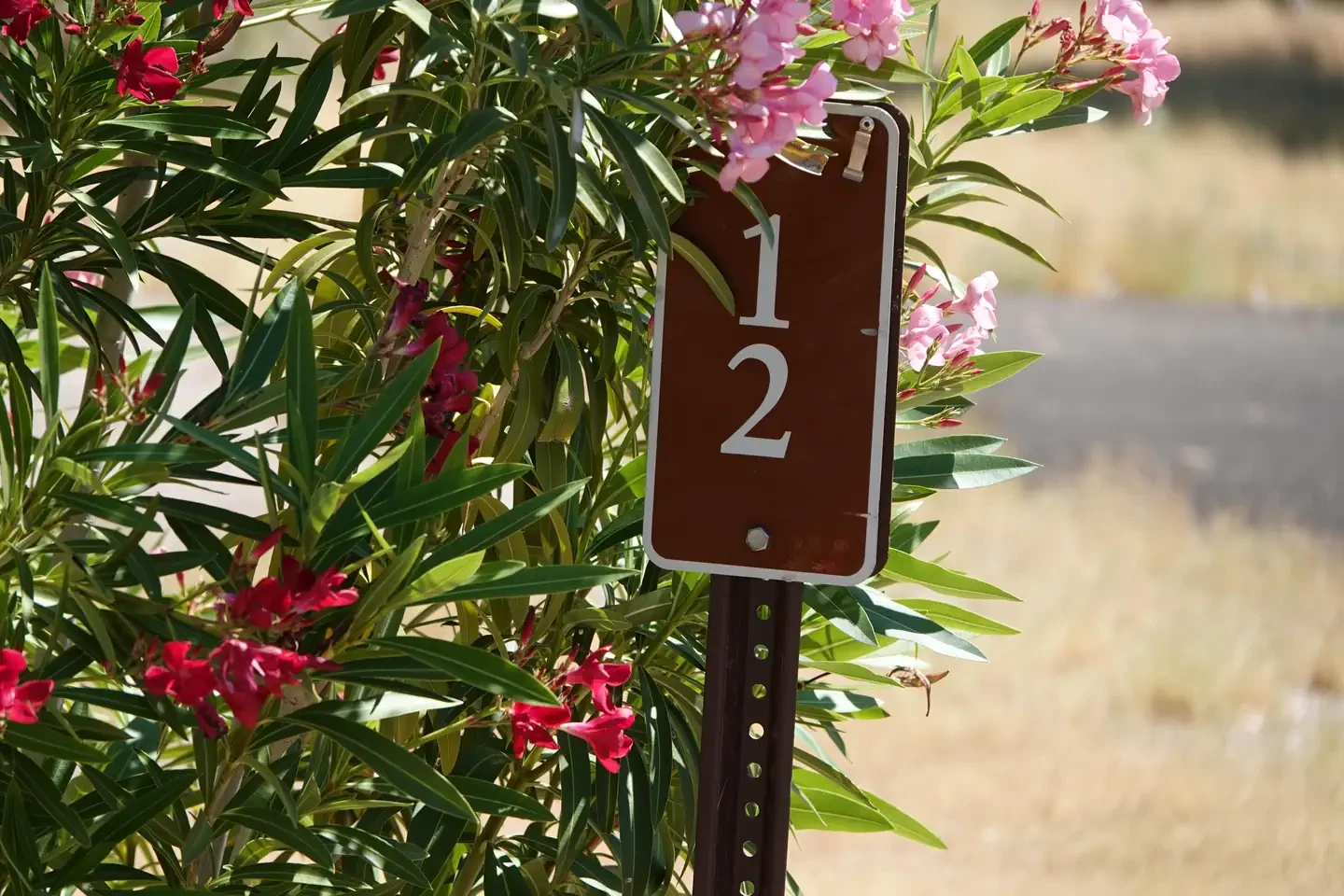 Site 12