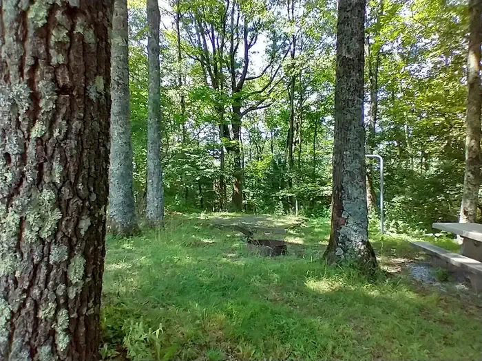 B41