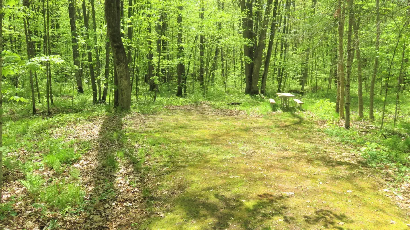 S71
