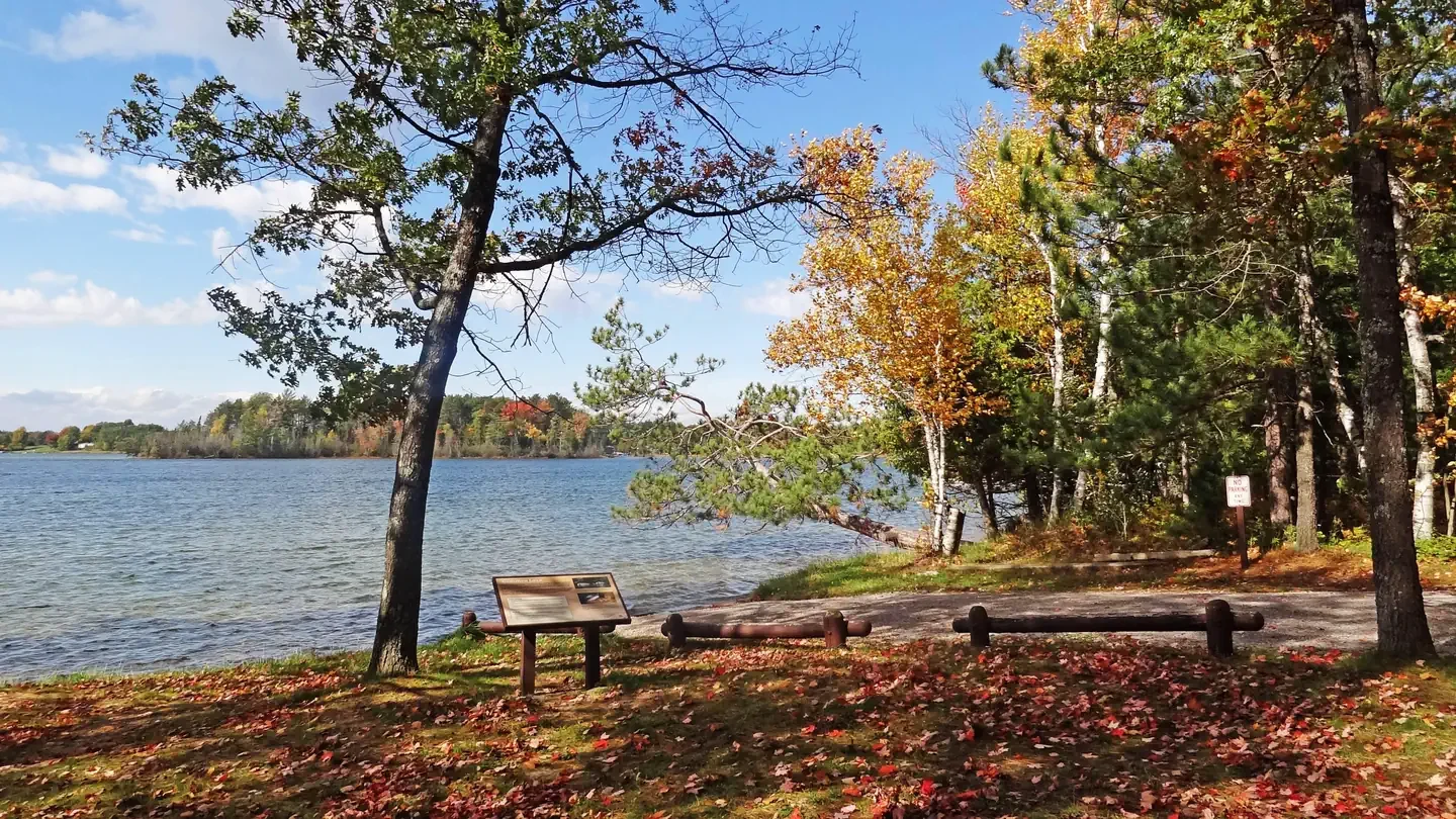 Huron-Manistee National Forests