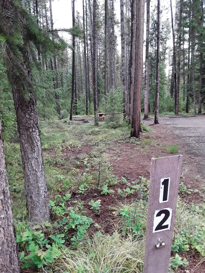 Cabin City Campground (MT)