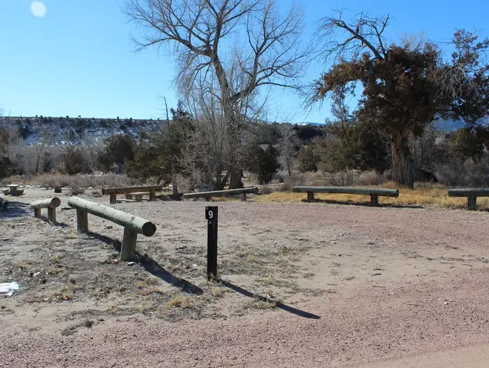 Site 9