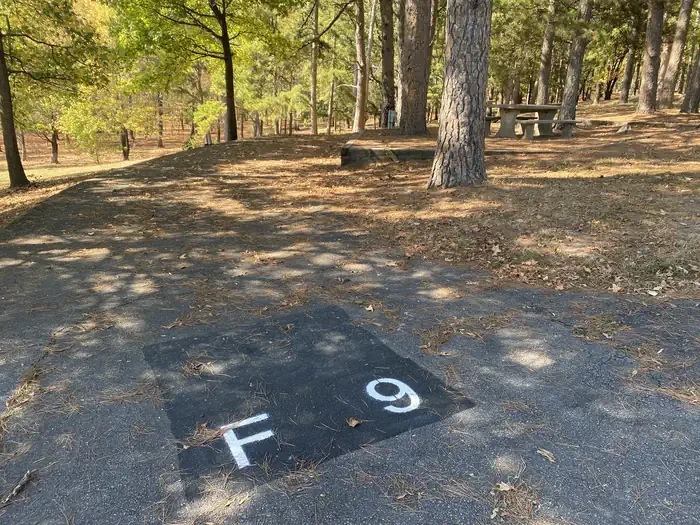 F09