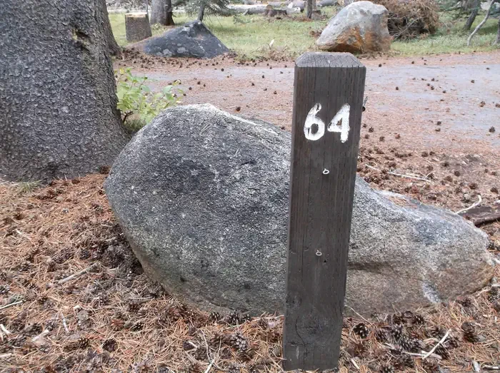 064