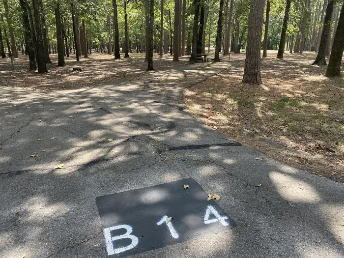 B14
