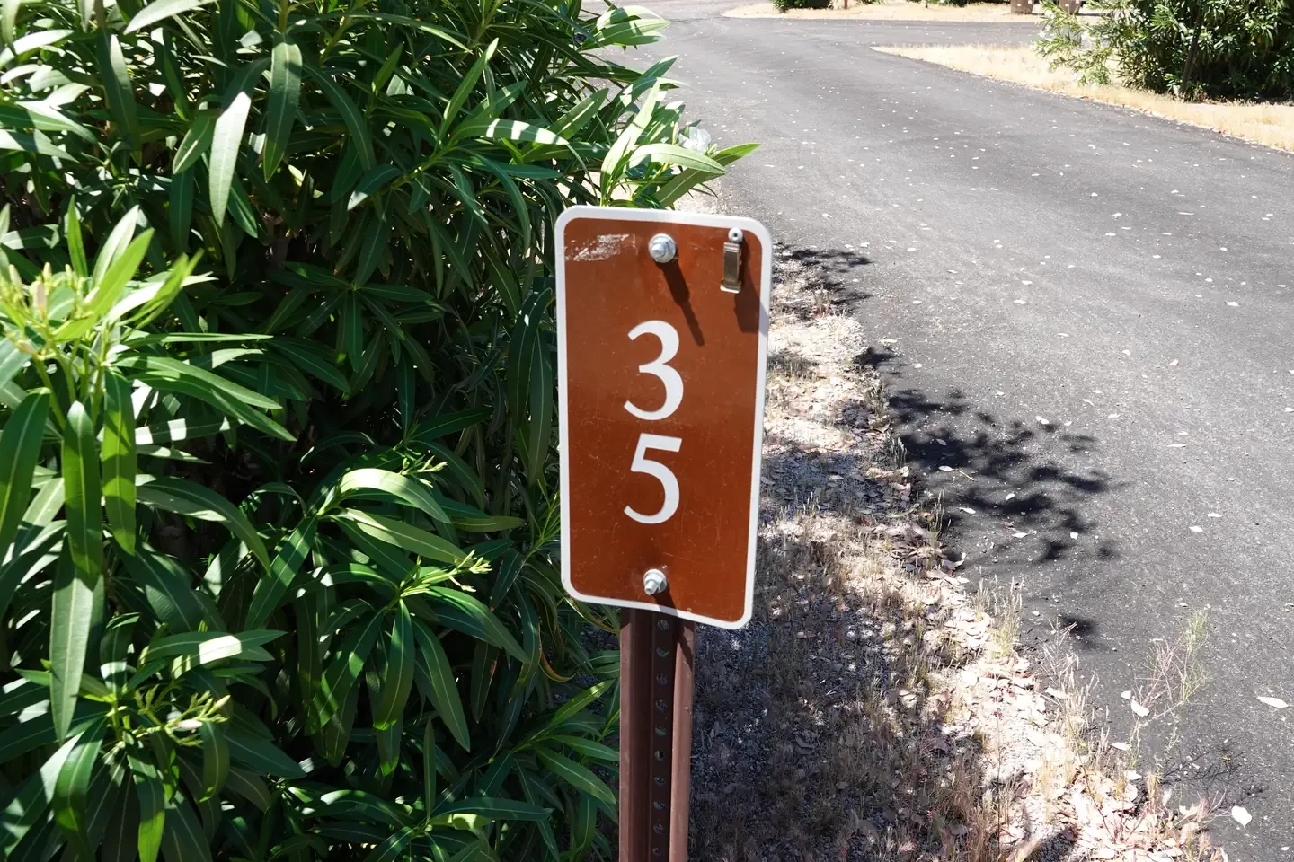 Site 35