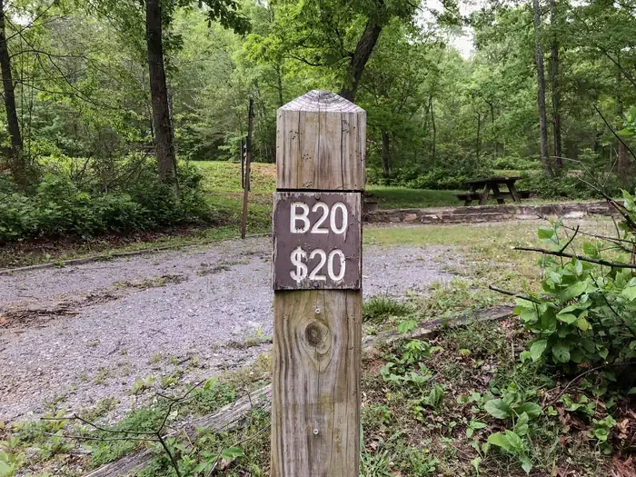 20
