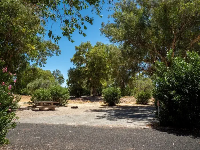 Site 9
