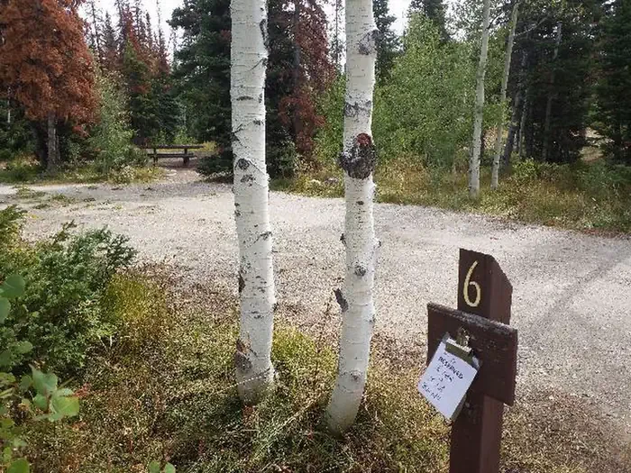 006