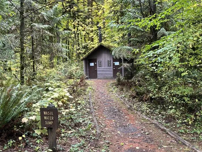 Trout Creek Campground - Willamette (OR)
