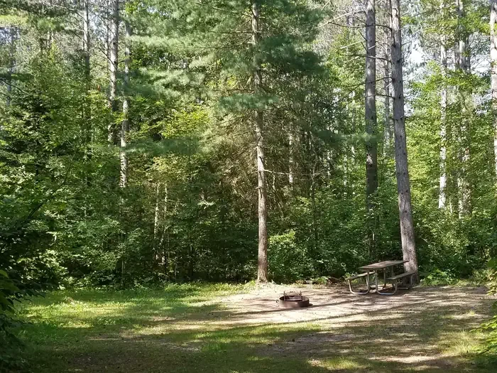 050