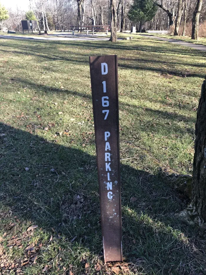 D167