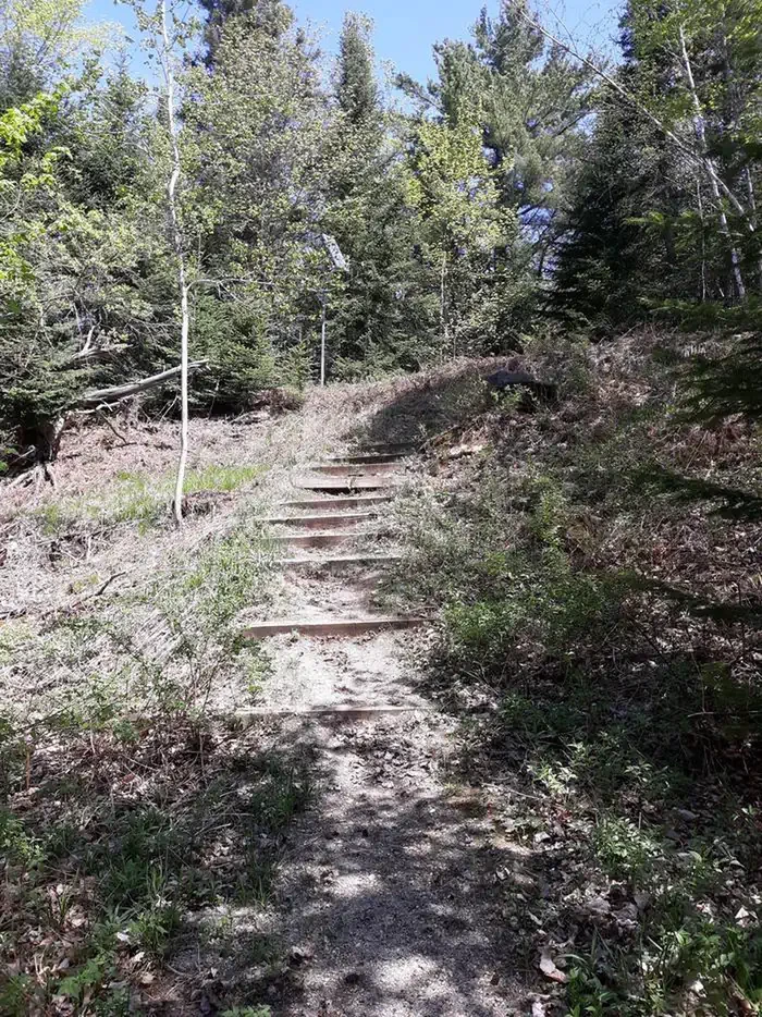 Juniper Flats Group Site