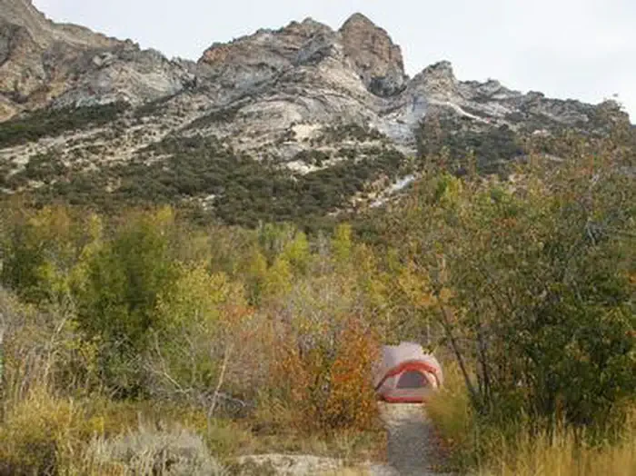 Thomas Canyon
