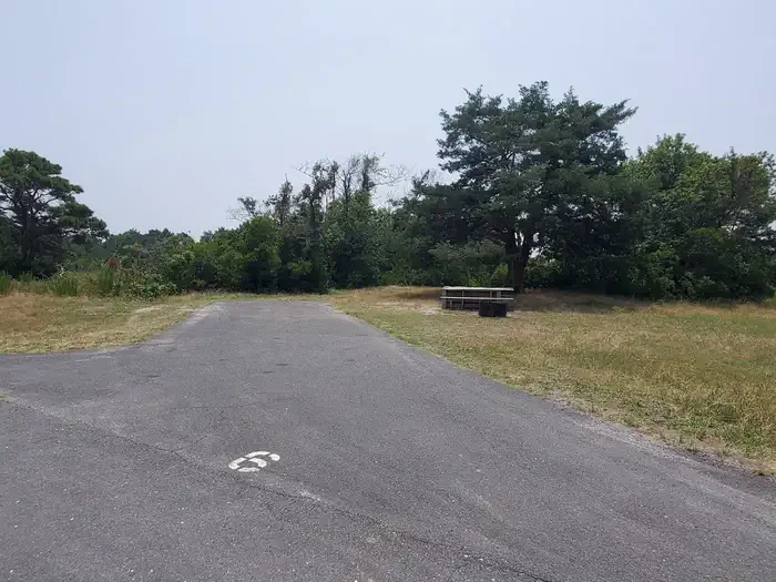 A06